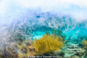 "Turbulent Seas" - Waves crash into a shallow reef as a g... by Susannah H. Snowden-Smith 